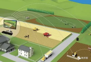 區(qū)塊鏈未死 2019年農(nóng)業(yè)領(lǐng)域或?qū)⒃』鹬厣夹g(shù)交流引領(lǐng)變革